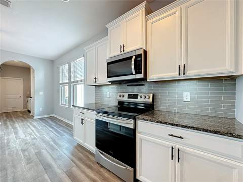 16330 Brisk Breeze Alley, Winter Garden FL - photo 18 of 54