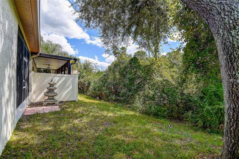 10109 Mowry Lane, Tampa FL - photo 18 of 25