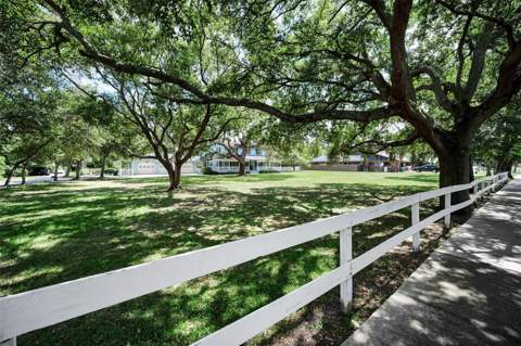 3525 Fairview Street, Safety Harbor FL - photo 6 of 6