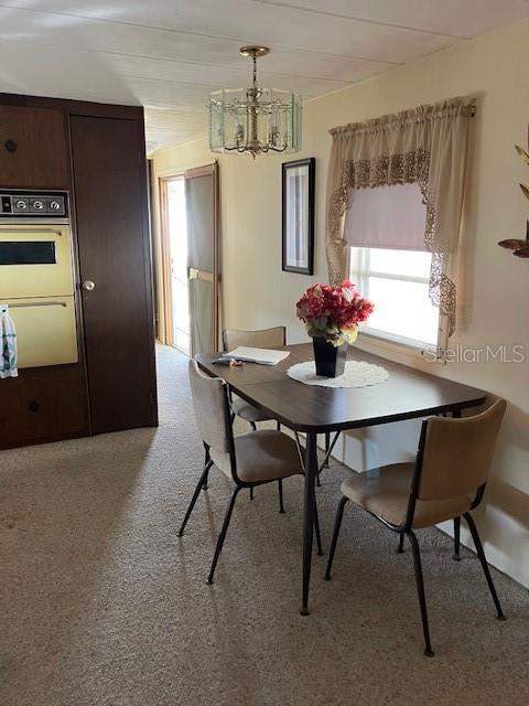 3405 Lanark Drive, Holiday FL - photo 13 of 33