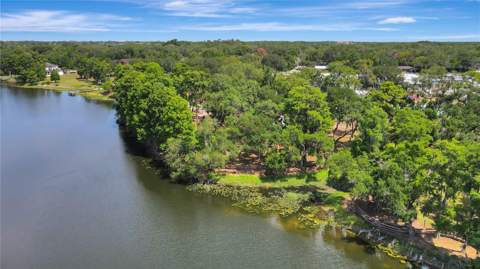 312 S Riverhills Drive, Tampa FL - photo 7 of 99
