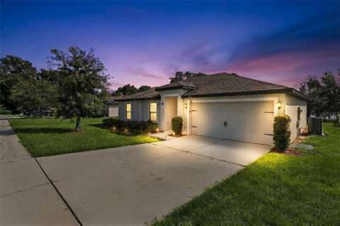 1601 Orne Street, home for sale in Mascotte 34753