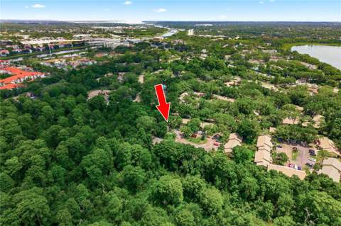 4041 Arrowwood Court #4041, Palm Harbor FL - photo 24 of 32