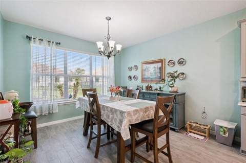 3904 Redfin Place, Kissimmee FL - photo 8 of 48