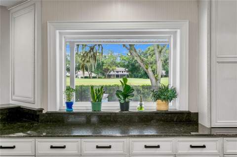 16601 Avila Boulevard, Tampa FL - photo 17 of 47