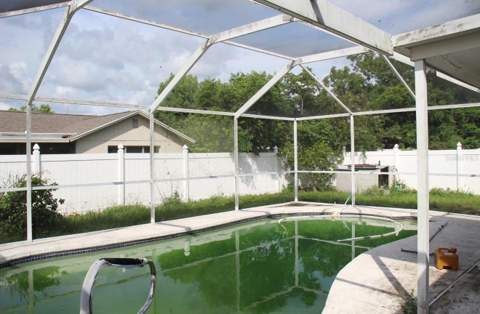 7717 Mitchell Ranch Road, New Port Richey FL - photo 13 of 13