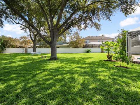 15019 Lake Emerald Boulevard, Tampa FL - photo 6 of 6