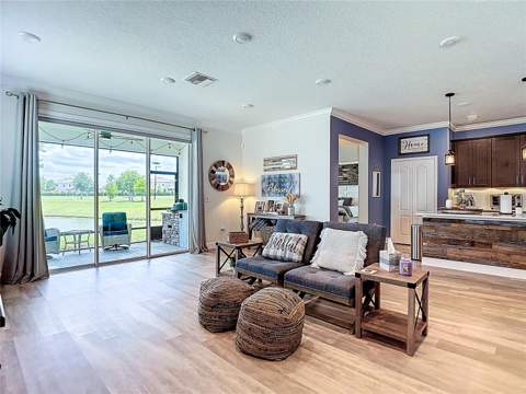 30980 Jazz Leaf Place, San Antonio FL - photo 13 of 50