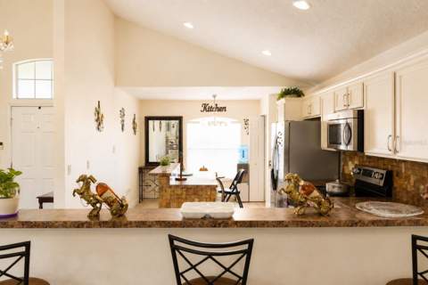 925 Stockport Drive, Kissimmee FL - photo 9 of 28