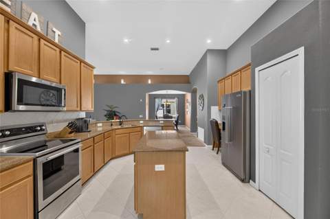 13311 Graham Yarden Drive, Riverview FL - photo 16 of 98