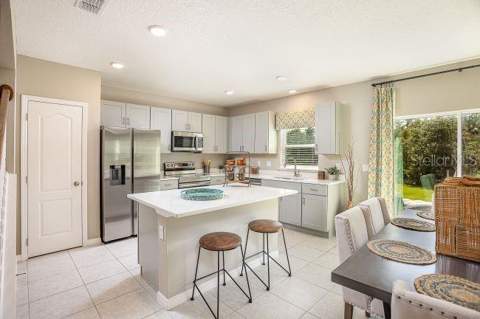 31576 Wild Grape Lane, Brooksville FL - photo 9 of 31