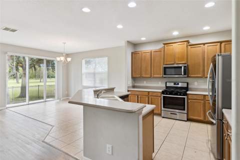4627 Blue Major Drive, Windermere FL - photo 15 of 40