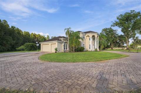 19153 Geraci Road, Lutz FL - photo 6 of 6