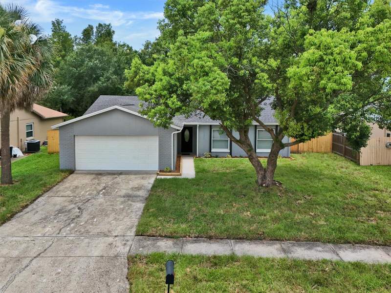 Carrollwood Meadows
