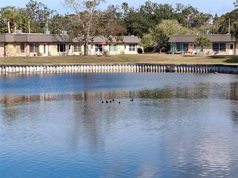 4326 Summersun Drive, New Port Richey FL - photo 22 of 28