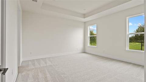 30273 Rustic Mill Street, Mount Dora FL - photo 16 of 35