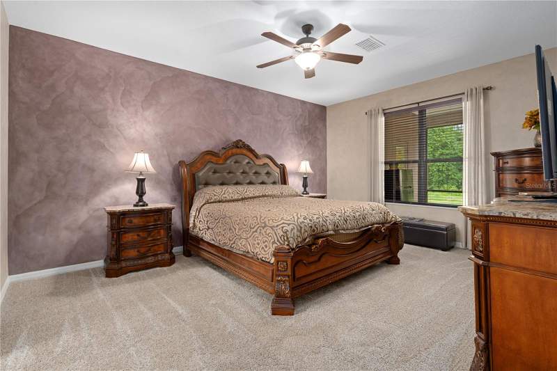 4 bedroom Single Family Residence at 14807 Princewood Lane, Suncoast Lakes, Land O Lakes — photo 3