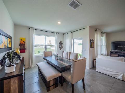 4885 Panga Avenue, Mount Dora FL - photo 8 of 25