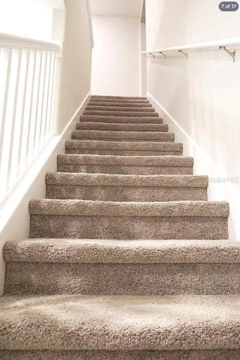 6834 Citrus Creek Lane, Tampa FL - photo 8 of 18