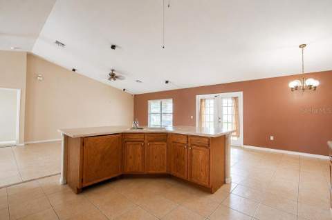 1126 Lavaur Court, Kissimmee FL - photo 9 of 48