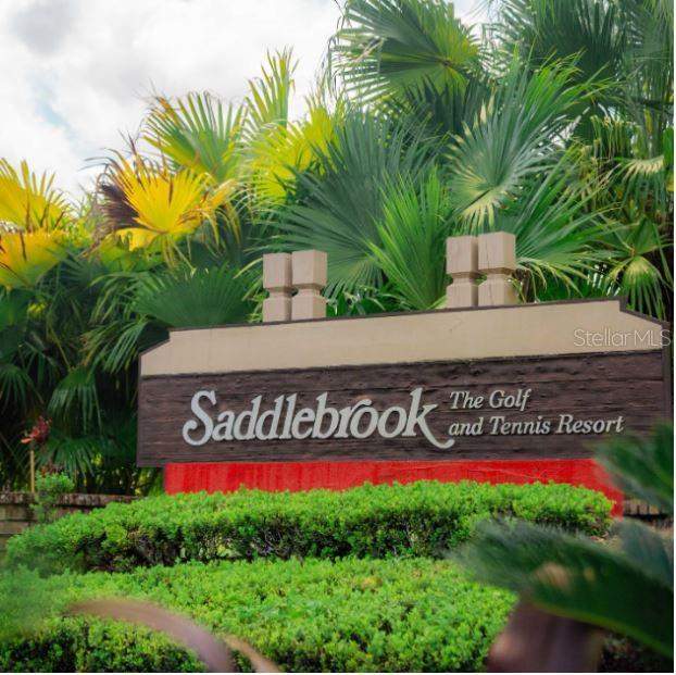Saddlebrook Unrec