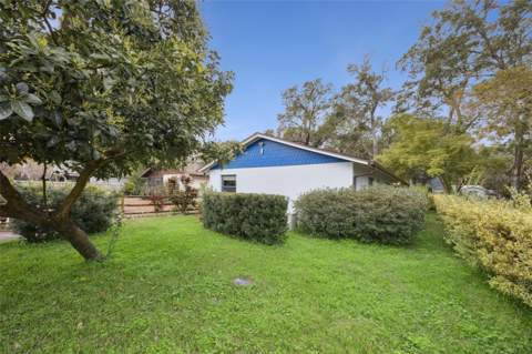 30904 Deal Drive, Sorrento FL - photo 24 of 27