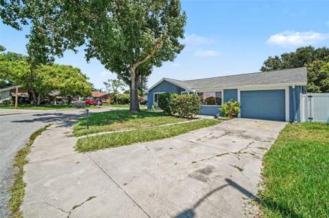 3640 Landale Drive, Holiday FL - photo 7 of 38