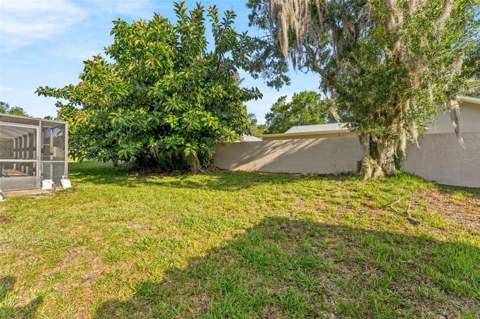 3969 Talah Drive, Palm Harbor FL - photo 6 of 6
