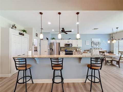 25543 Maurepas Lane, Leesburg FL - photo 13 of 60