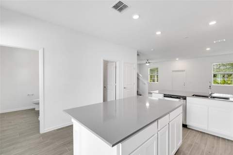 10540 Tribute Drive, Winter Garden FL - photo 10 of 33