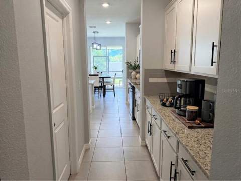 16910 Oval Rum Drive, Wimauma FL - photo 11 of 37