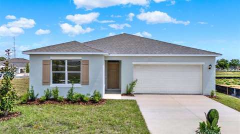 3162 Grey Moss Drive, home for sale in St. Cloud 34773