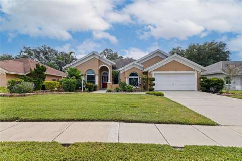 903 Whippoorwill Drive, home for sale in Palm Harbor 34683