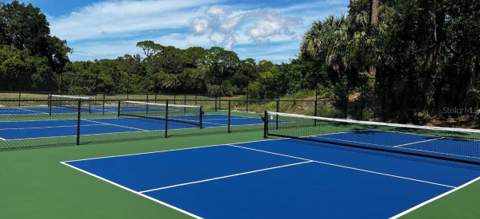 1618 Sandhill Court, Palm Harbor FL - photo 10 of 20