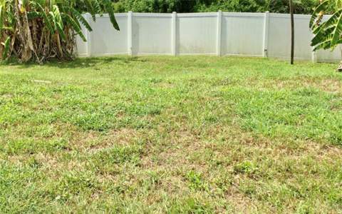 10728 Shady Preserve Drive, Riverview FL - photo 12 of 16