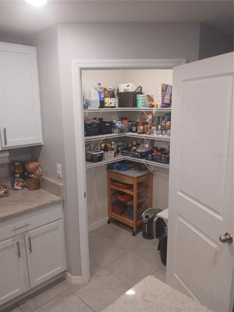 3719 Capri Coast Drive, Plant City FL - photo 7 of 46