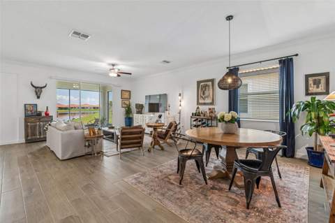 17307 Blue Walk Street, Wimauma FL - photo 9 of 47