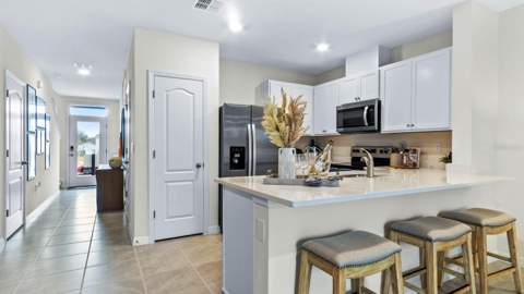 31229 Midnight Sun Way, Wesley Chapel FL - photo 7 of 22