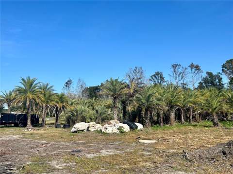 12714 State Road 33, Groveland FL - photo 18 of 22