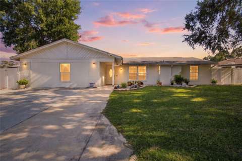 1325 Oakcrest Drive, home for sale in Brandon 33510
