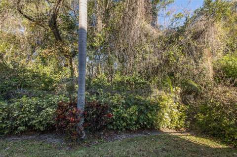 2676 Tanglewood Trail, Palm Harbor FL - photo 10 of 36