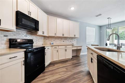 16720 Mooner Plank Circle, Wimauma FL - photo 10 of 31