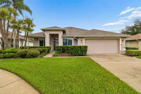 5306 Waterleaf Court, home for sale in Valrico 33596