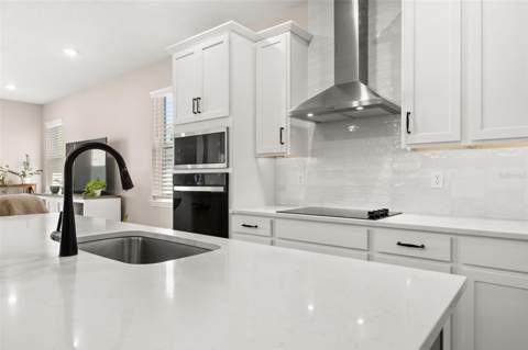 4542 Lions Gate Avenue, Clermont FL - photo 6 of 6