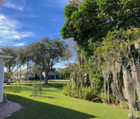 141 Winghurst Boulevard, Orlando FL - photo 7 of 45