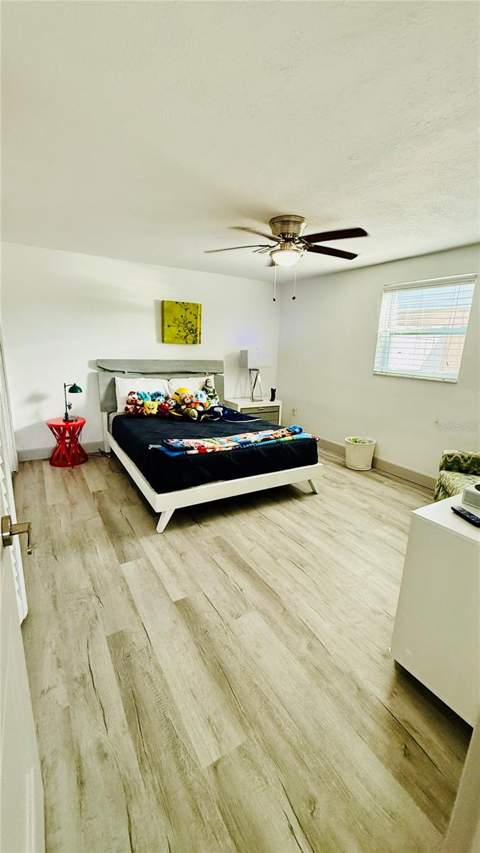 4926 Blue Heron Drive, New Port Richey FL - photo 24 of 42