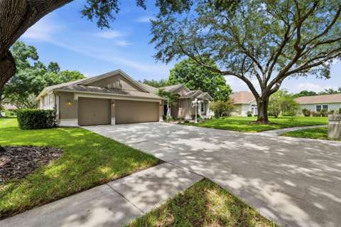 13756 Dowling Lane, home for sale in Odessa 33556