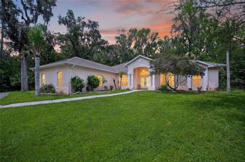 19040 NW 88Th Avenue Road, luxury home for sale in Reddick