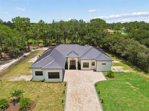 19913 Moorgate Street, Orlando FL - photo 9 of 98