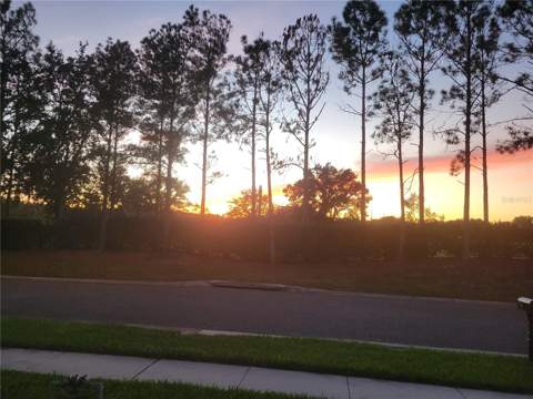27343 Roanoke Drive, Leesburg FL - photo 17 of 99